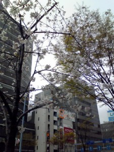 200904011252000