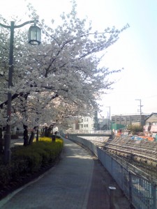 200904071541000