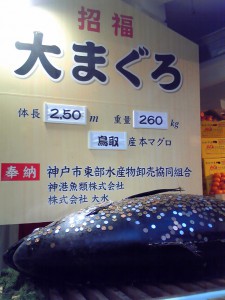 大まぐろ（１）