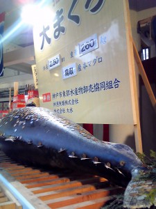大まぐろ（２）