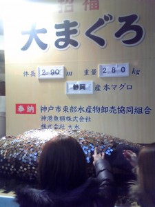 大マグロ