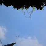 DVC00004.jpg