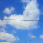 DVC00047.jpg