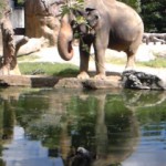 DVC00017.jpg